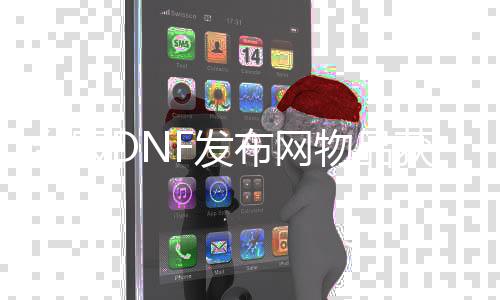 台服DNF发布网物品获取（dnf台服gm工具物品代码）