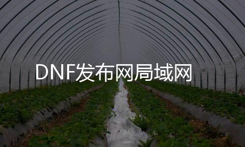 DNF发布网局域网