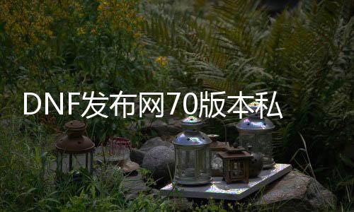 DNF发布网70版本私服上线满级（DNF发布网70级版本攻略）