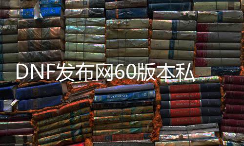 DNF发布网60版本私服圣职者（DNF发布网,圣职者）