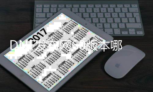 DNF发布网60版本哪个最火