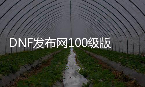 DNF发布网100级版本不氪金（DNF发布网100级版本不充钱能玩吗）