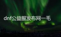 dnf公益服发布网一毛一抽（dnf纯公益服发布网）