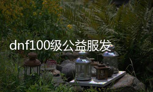 dnf100级公益服发布网新开（限时开放，快来体验100级公益服发布网）