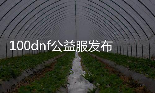 100dnf公益服发布网站（寻找最新的100dnf公益服发布网站）