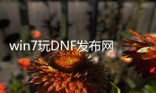 win7玩DNF发布网崩溃（win7旗舰版玩dnf总是未响应）